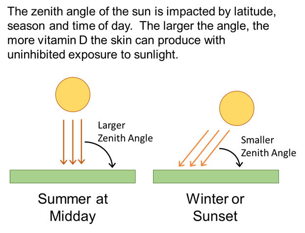 Vitamin Ds Role In Health Deterministic Or Indeterminate