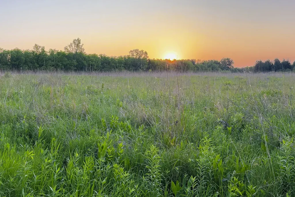 Tagtow Prairie, Elkhart Iowa